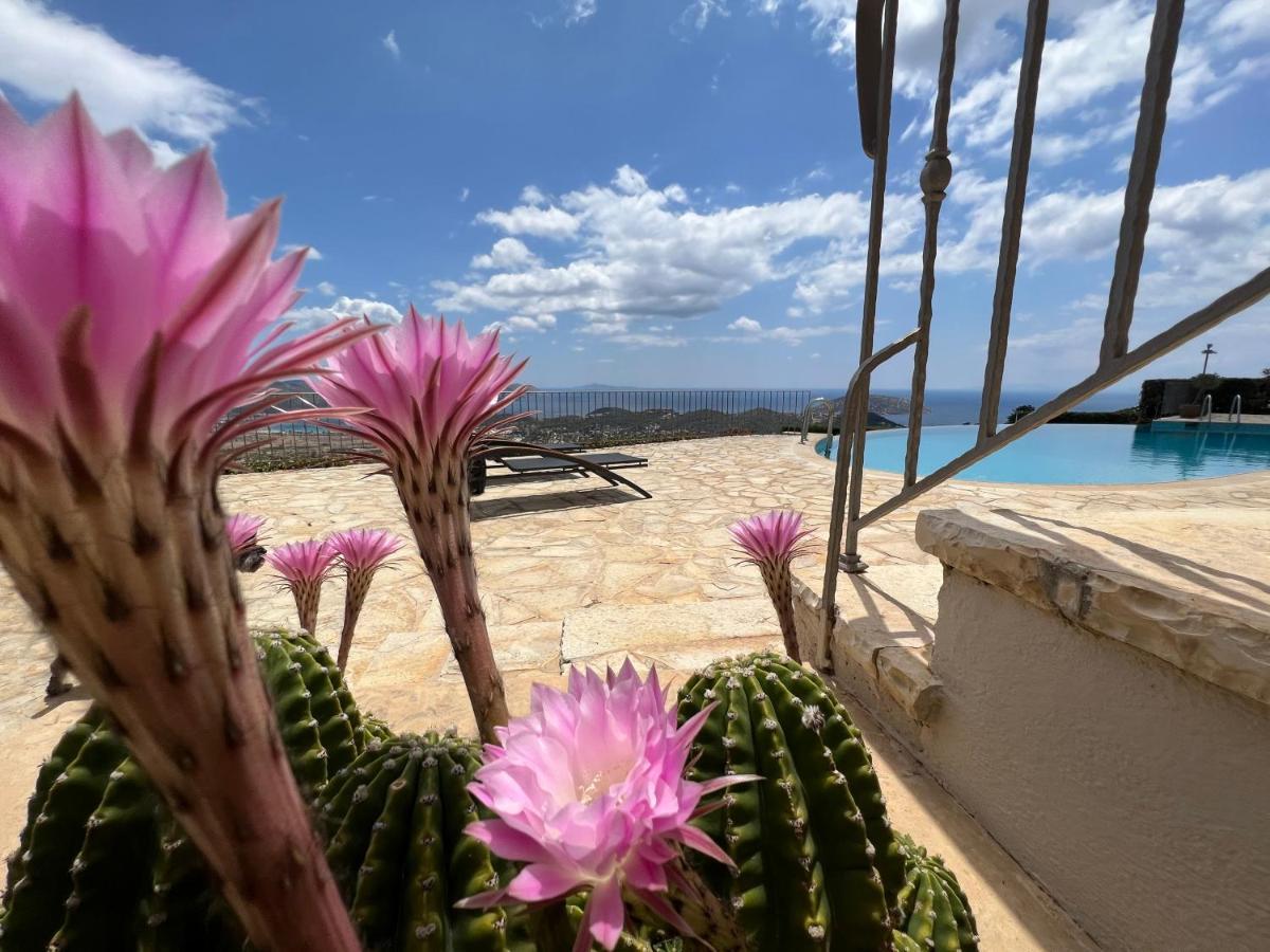Endless Blue Villa Anavyssos Exterior foto